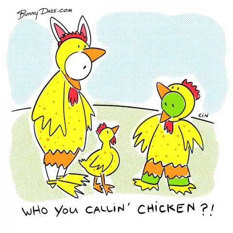 Who you callin’ chicken?!