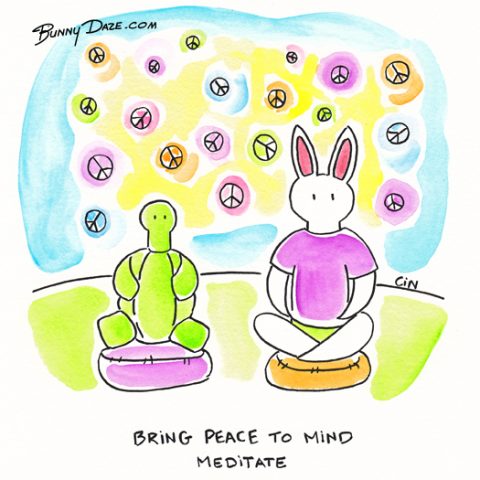 Bring Peace to Mind…Meditate