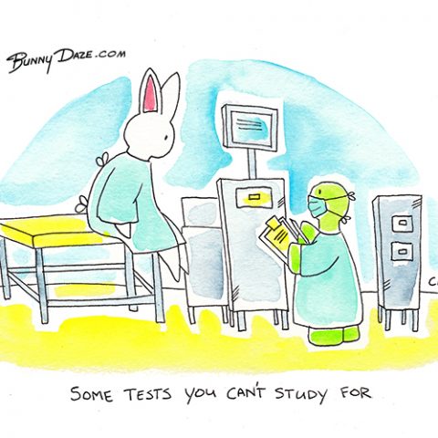 Some tests you can’t study for