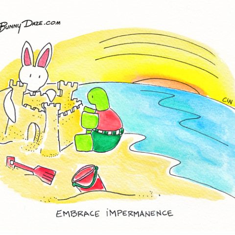 Embrace Impermanence