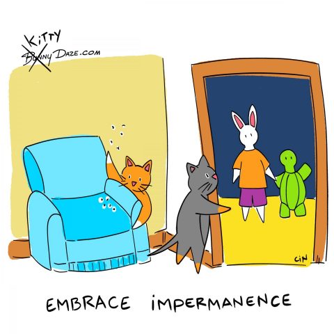 Embrace Impermanence