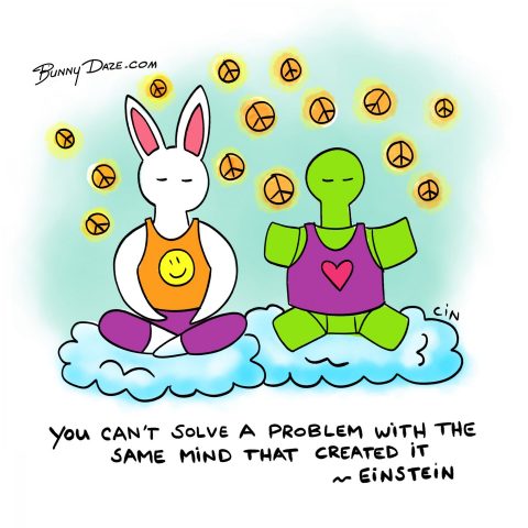 You can’t solve a problem with the same mind that created it. ~Einstein