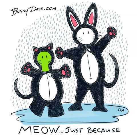 MEOW…just because