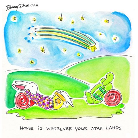 Home is wherever your star lands