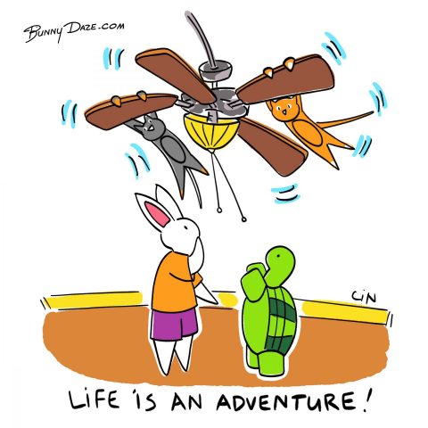 Life is an Adventure!