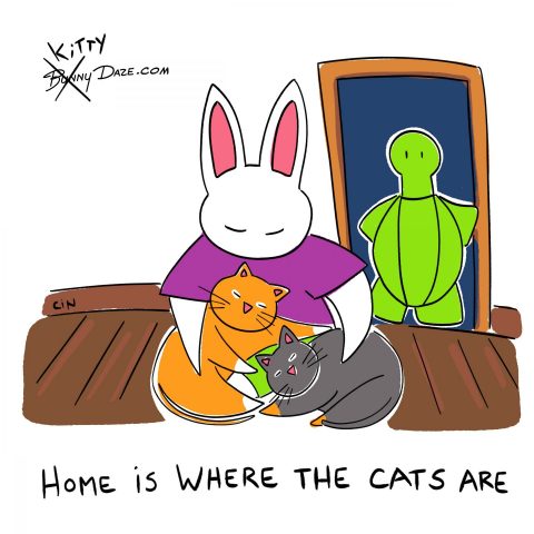 Home is where the cats are