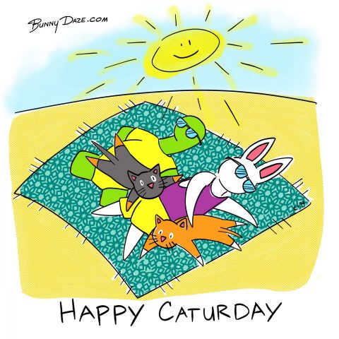 Happy Caturday