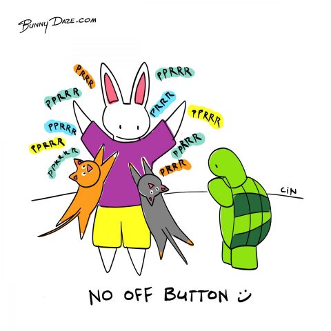 No Off Button :)