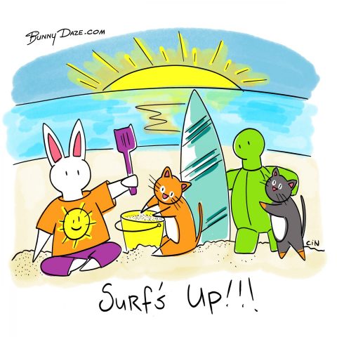 Surf’s Up!!!