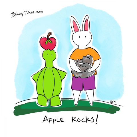Apple Rocks!