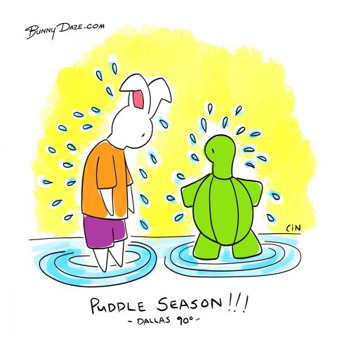 Puddle Season
