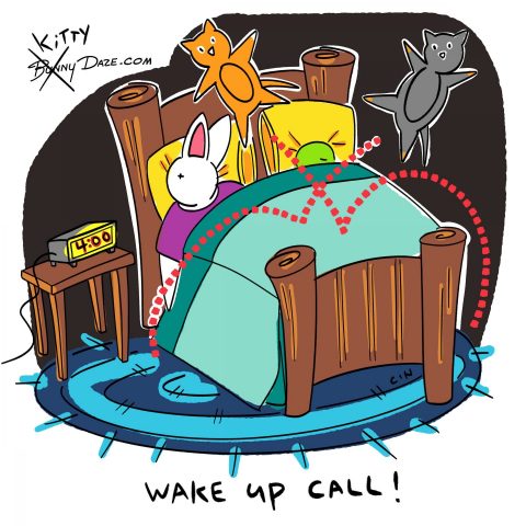 Wake Up Call!