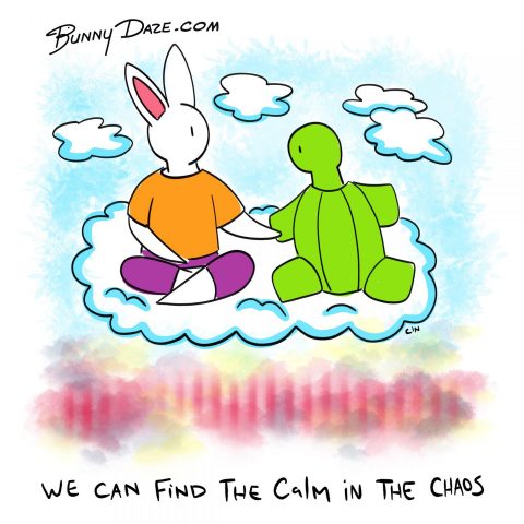 We can find the calm in the chaos